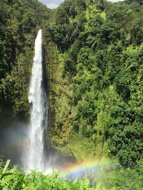 Rainbow Falls, The Big Island
17 Most Incredible Places To Visit In Hawaii
alpha ragas