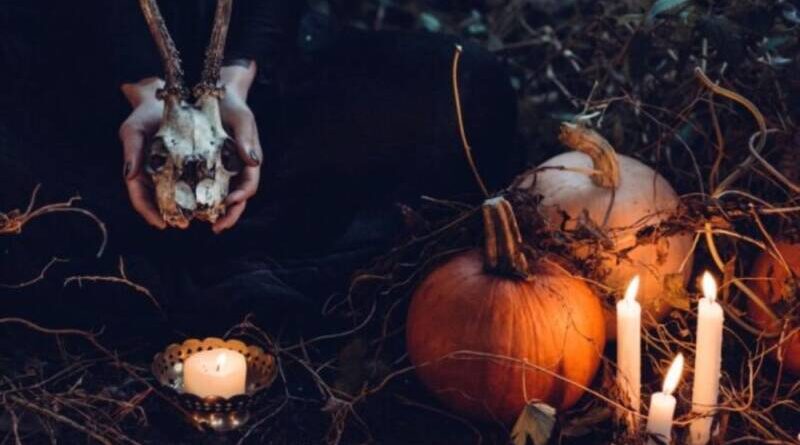 Discover the best DIY Halloween decor ideas. These are loved by everyone