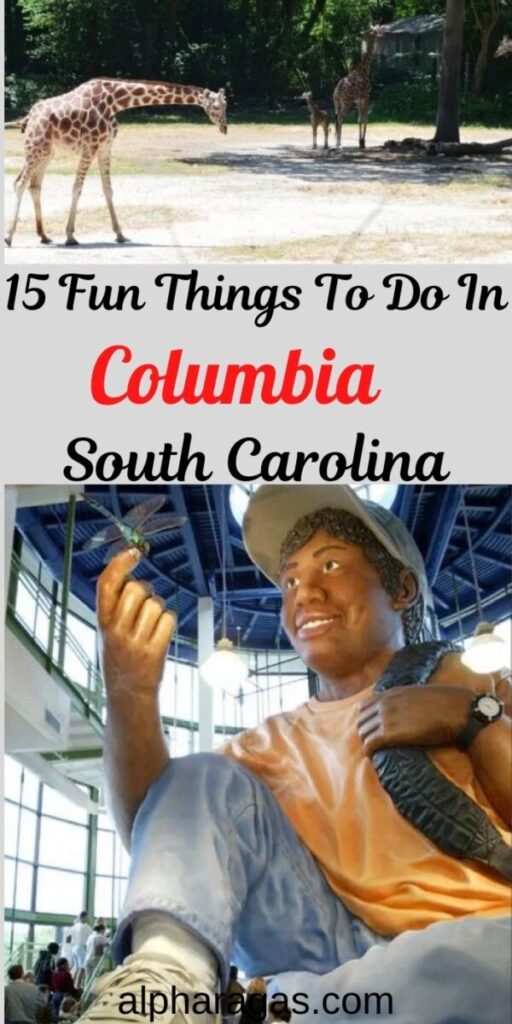 things to do in columbia south carolina