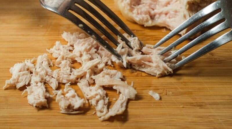 shredded chicken recipes